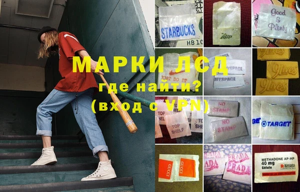 герыч Арсеньев