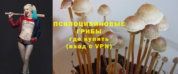 герыч Арсеньев