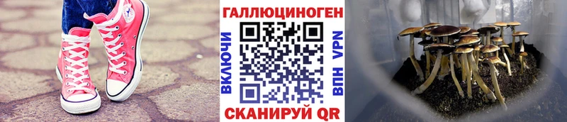 Псилоцибиновые грибы MAGIC MUSHROOMS  Лениногорск 